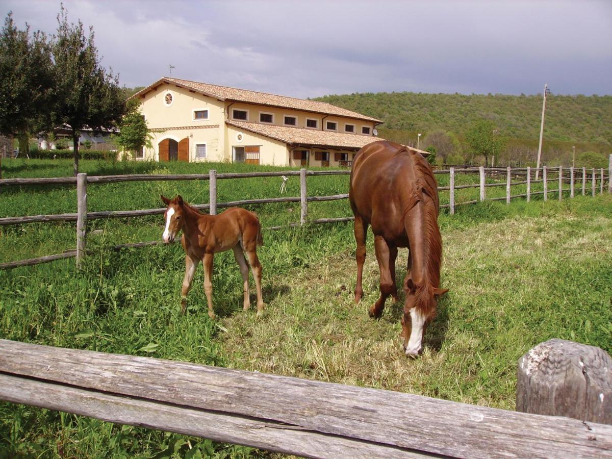 Villa Potrero Grande Campagnano Di Roma Exterior foto