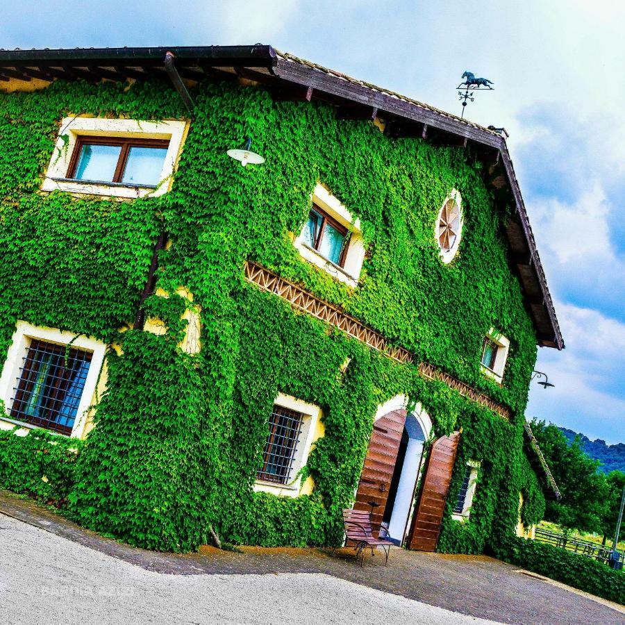 Villa Potrero Grande Campagnano Di Roma Exterior foto